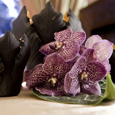 vanda orchids, decorations with orchids, poser decorations, black and purple decorations